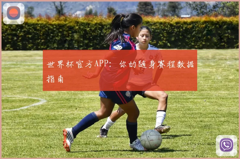 世界杯官方APP：你的随身赛程数据指南